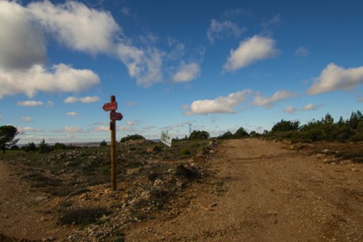 Inicio del ramal, en la conexión con la etapa 8, que continúa en dirección a Albadalejo del Cuende