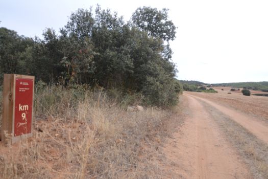 Después de salir del pinar, el camino vuelve al paisaje de cultivos