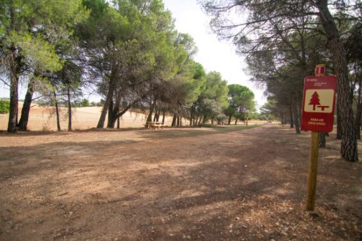 Un área de descanso aprovecha la sombra de un pinar junto al embalse de Alarcón