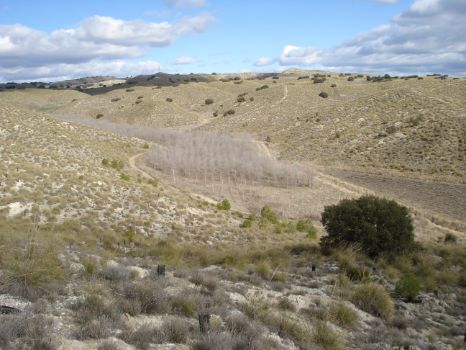 La vega del Arroyo Valseco encajado entre los cerros yesosos