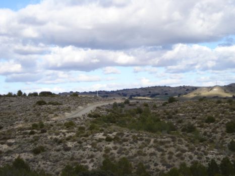 Vista del camino entre espartales y pinares de repoblación