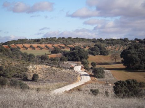 Mosaico de colores que ofrece el paisaje