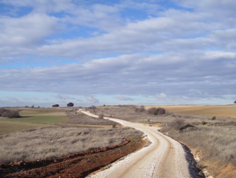 El camino transcurre por el trazado de la Cañada Real