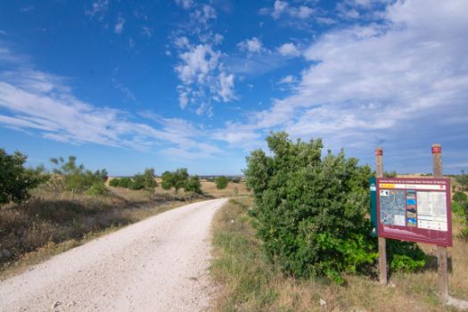 Inicio del camino, en el límie provincial entre Guadalajara y Madrid