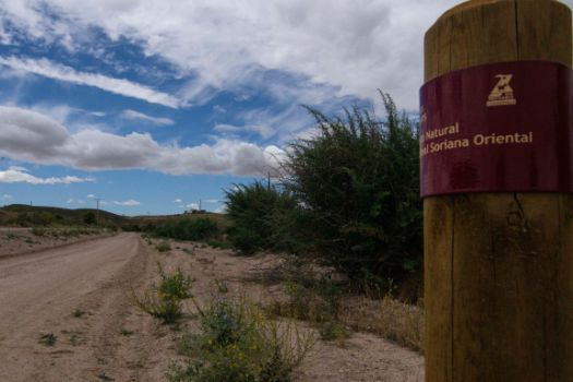 Detalle de la señalización del Camino Natural. Al fondo, la ermita de la Virgen de Alarilla