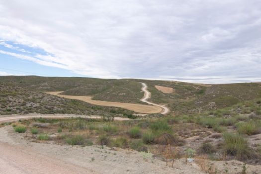 Paisaje ondulado con las laderas cubiertas de matorral, típico en los últimos kilómetros del recorrido