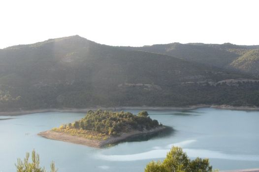 Isla arbolada en el embalse de Entrepeñas