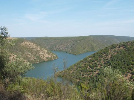 Panorámica del río Tajo en los tramos finales del Camino Natural