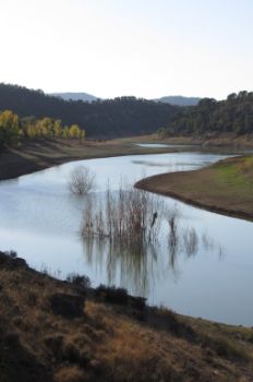 Meandros del Tajo
