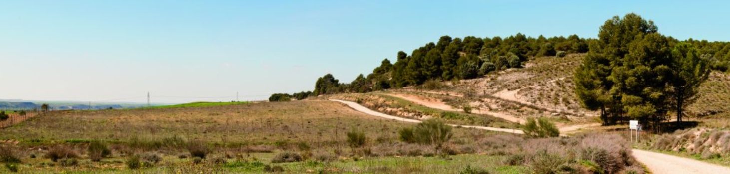 Vía pecuaria a la salida de Fuentidueña