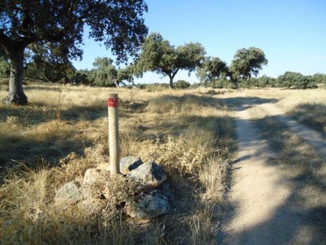 Señalización del Camino a pie de pista
