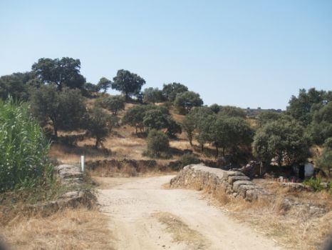 Vista del puente de piedra por el que discurre el camino