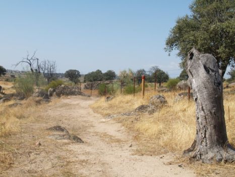 El sendero se estrecha