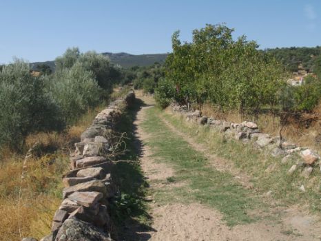Inicio de la etapa por sendero entre muretes de piedra