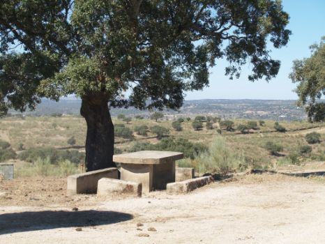 Área de descanso a la sombra de una encina