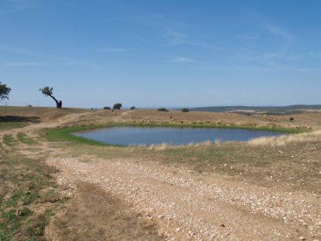 Balsa de agua en las proximidades del Camino
