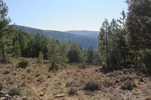 Subida al mirador de la Rocha