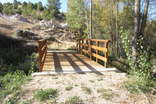 Pasarela en el Camino