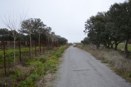 Aspecto del inicio del camino junto a la zona conocida como Las Habazas