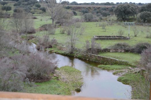 Arroyo del Tamujoso, desde la pasarela de madera