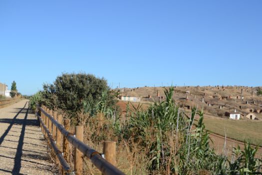 Bodegas excavadas en las colinas típicas de la comarca