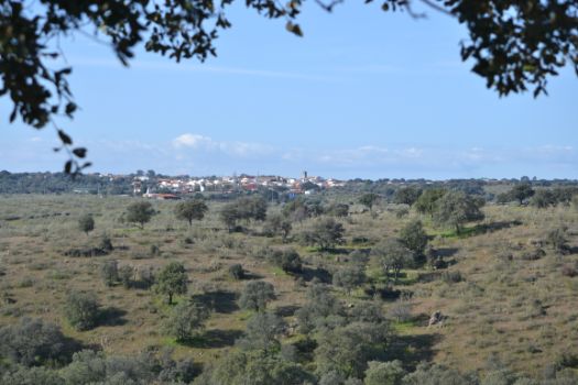 Panorámica de Oliva de Plasencia desde el Camino Natural