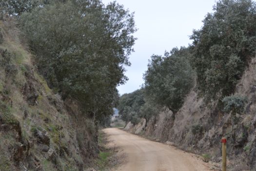El Camino vuelve a utilizar las trincheras del ferrocarril poco antes del final