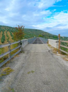 Viaducto Piedra del Águila