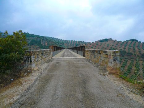 Viaducto del Arroyo Salado