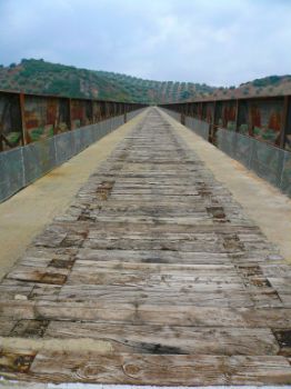 Viaducto del Arroyo Salado
