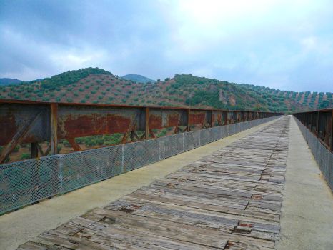 Viaducto del Arroyo Salado