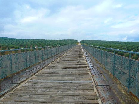 Viaducto del Arroyo del Higueral