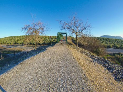 Pasarela del Chinche