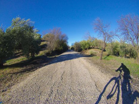 Etapa 3 del Camino Natural Vía Verde del Aceite