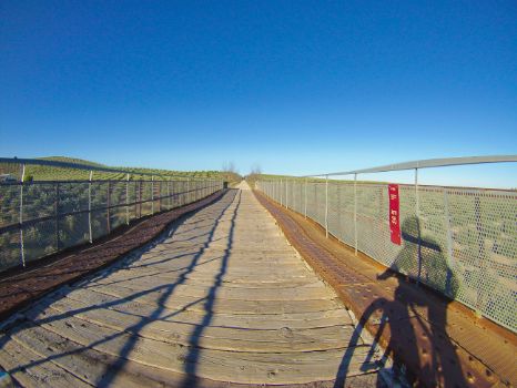 Viaducto del Arroyo del Higueral