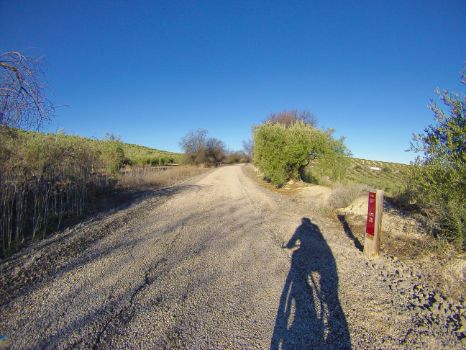 Punto kilométrico 38 del Camino Natural