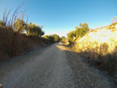 Usuarios en la etapa 4 del Camino Natural