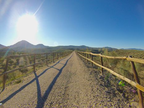 Panorámica del Camino Natural Vía Verde del Aceite