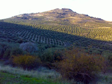 Arroyo de la Alameda