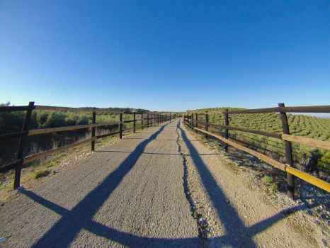 Cicloturista en la etapa 7 del Camino Natural