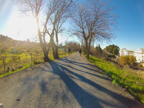 Senderistas en la etapa 7 del Camino Natural
