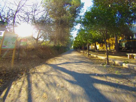 Antigua estación de Cabra en 2025