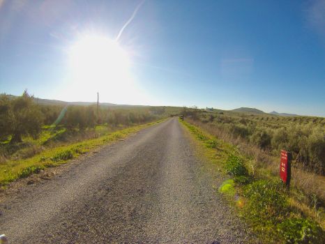 Hito kilométrico 92 del Camino Natural Vía Verde del Aceite