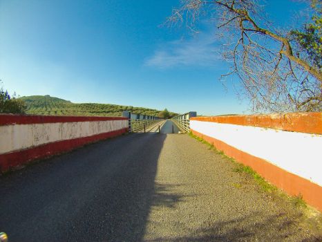 Viaducto del Alamedal