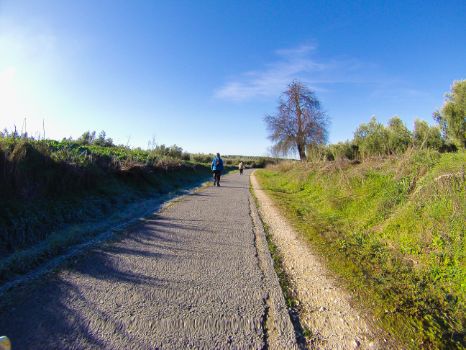 Senderistas en la etapa 8 del Camino Natural Vía Verde del Aceite