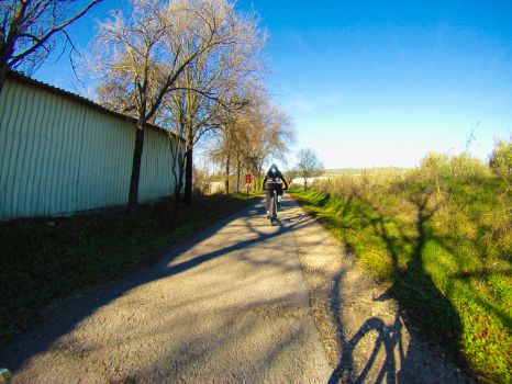 Cicloturista en la etapa 8 del Camino Natural Vía Verde del Aceite