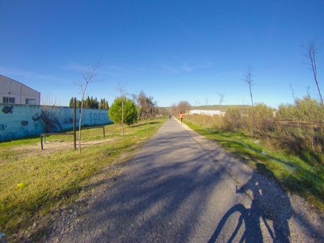 Deportistas en la etapa 8 del Camino Natural Vía Verde del Aceite