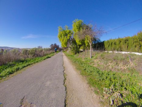 Deportista en la etapa 8 del Camino Natural Vía Verde del Aceite