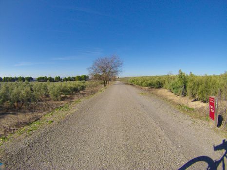Hito kilométrico 103 del Camino Natural Vía Verde del Aceite