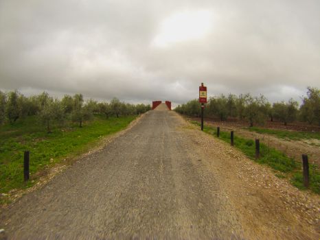 Pasarela peatonal sobre la carretera A-318